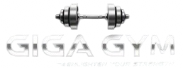 Giga Gym logo